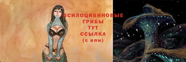 метадон Коряжма