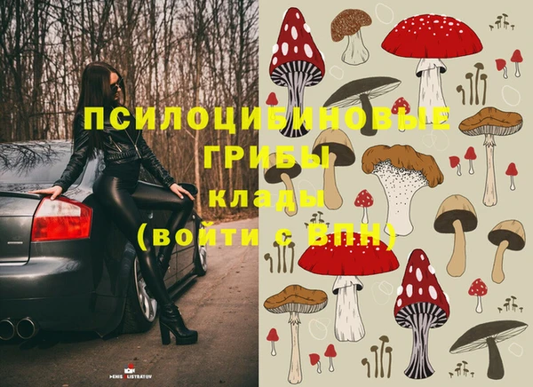 метадон Коряжма