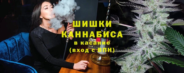 хмурый Бородино
