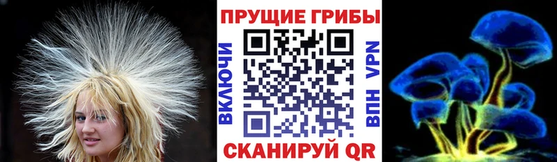 Галлюциногенные грибы мицелий  Урус-Мартан 