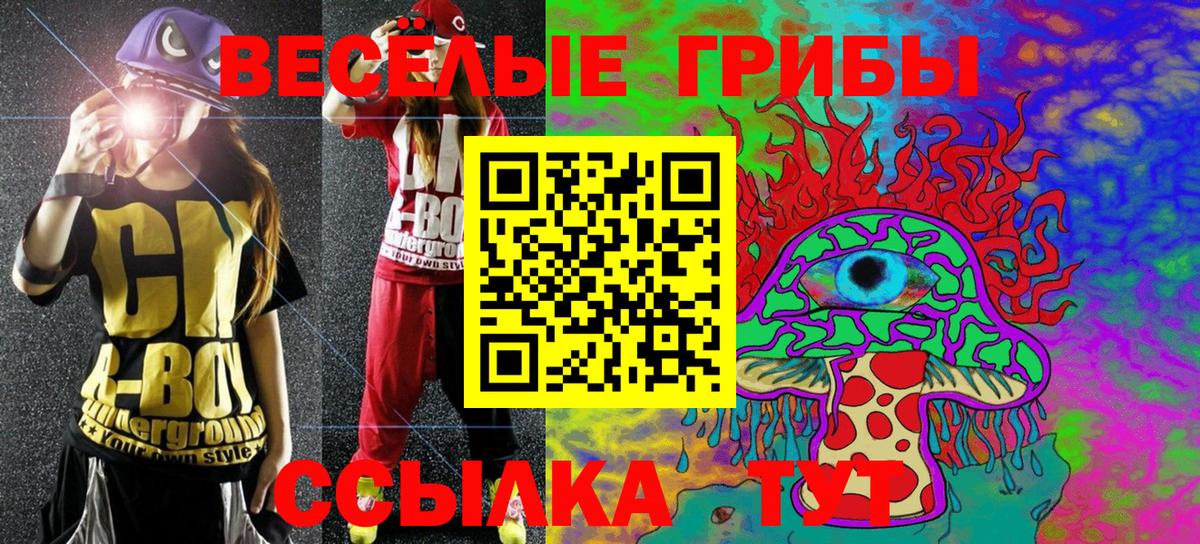 Галлюциногенные грибы Cubensis  Урус-Мартан 